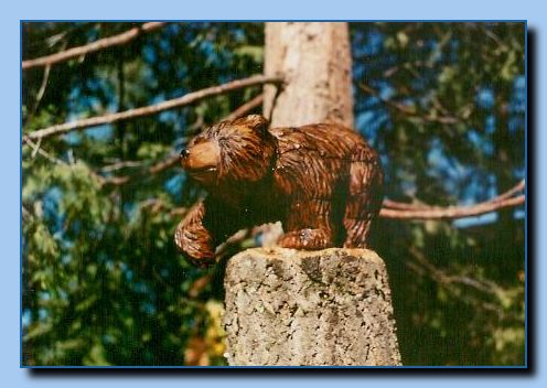 2-22  walking bear-archive-0003